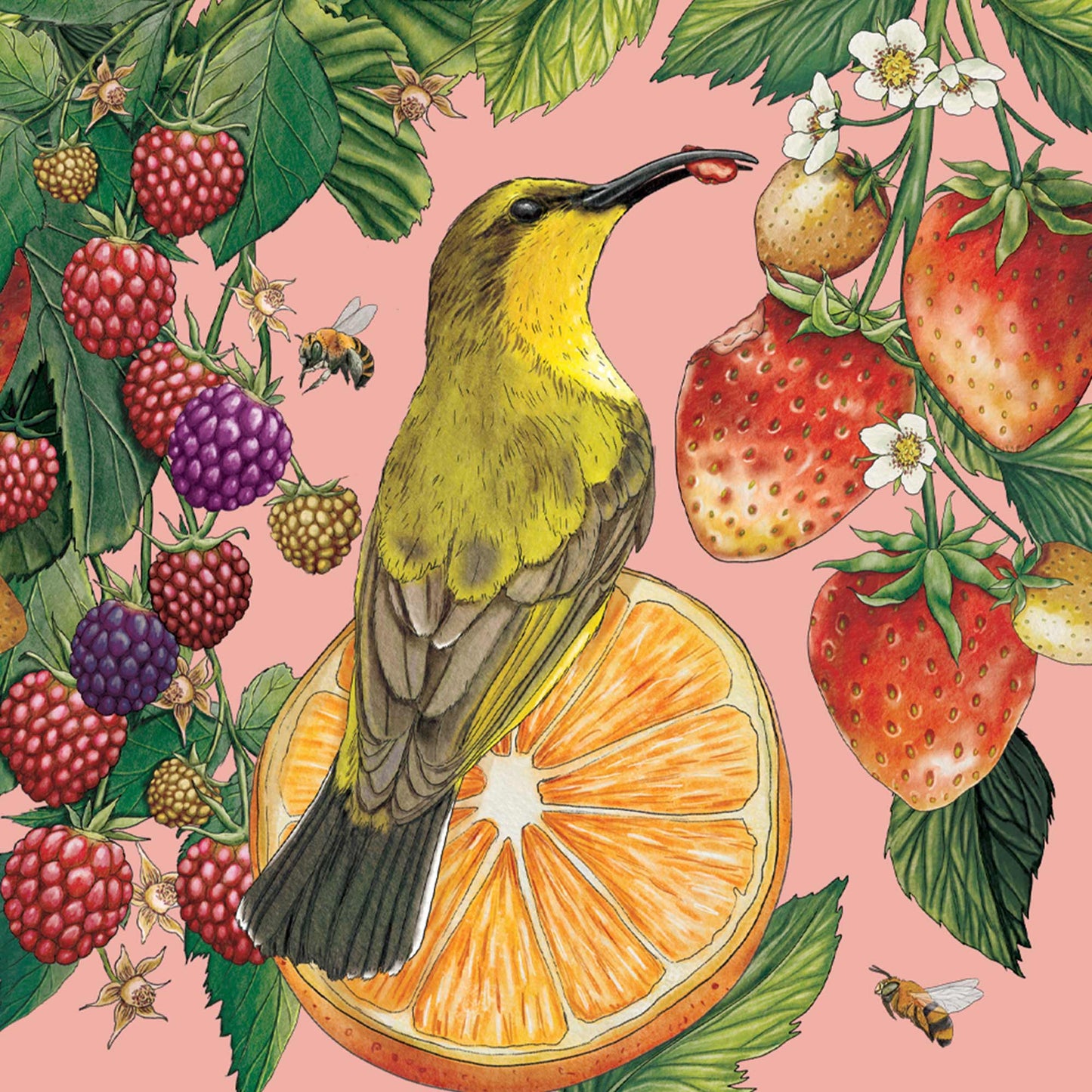 Mini Card Yellow Breasted Sunbird