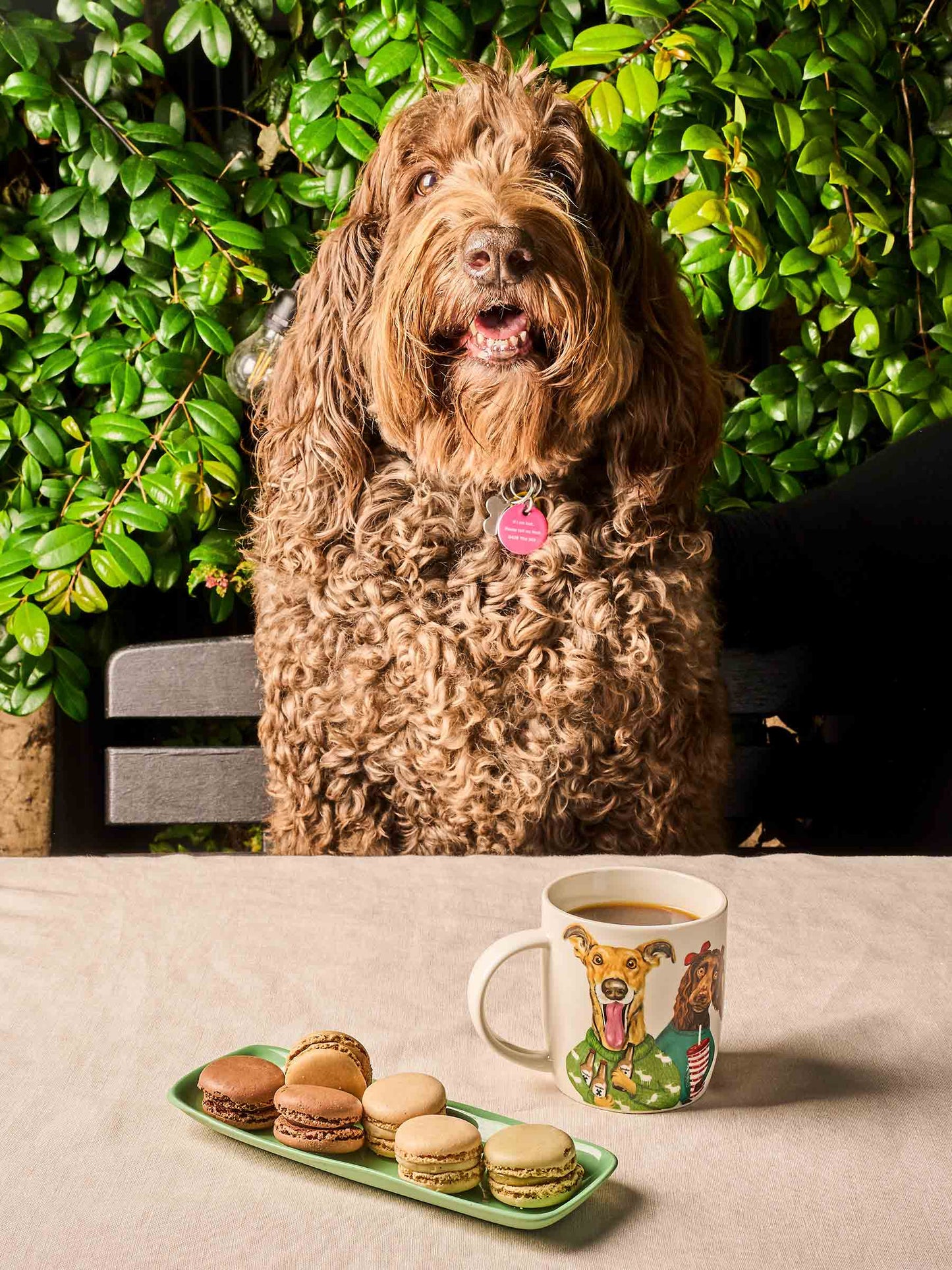 Mug Family Portrait