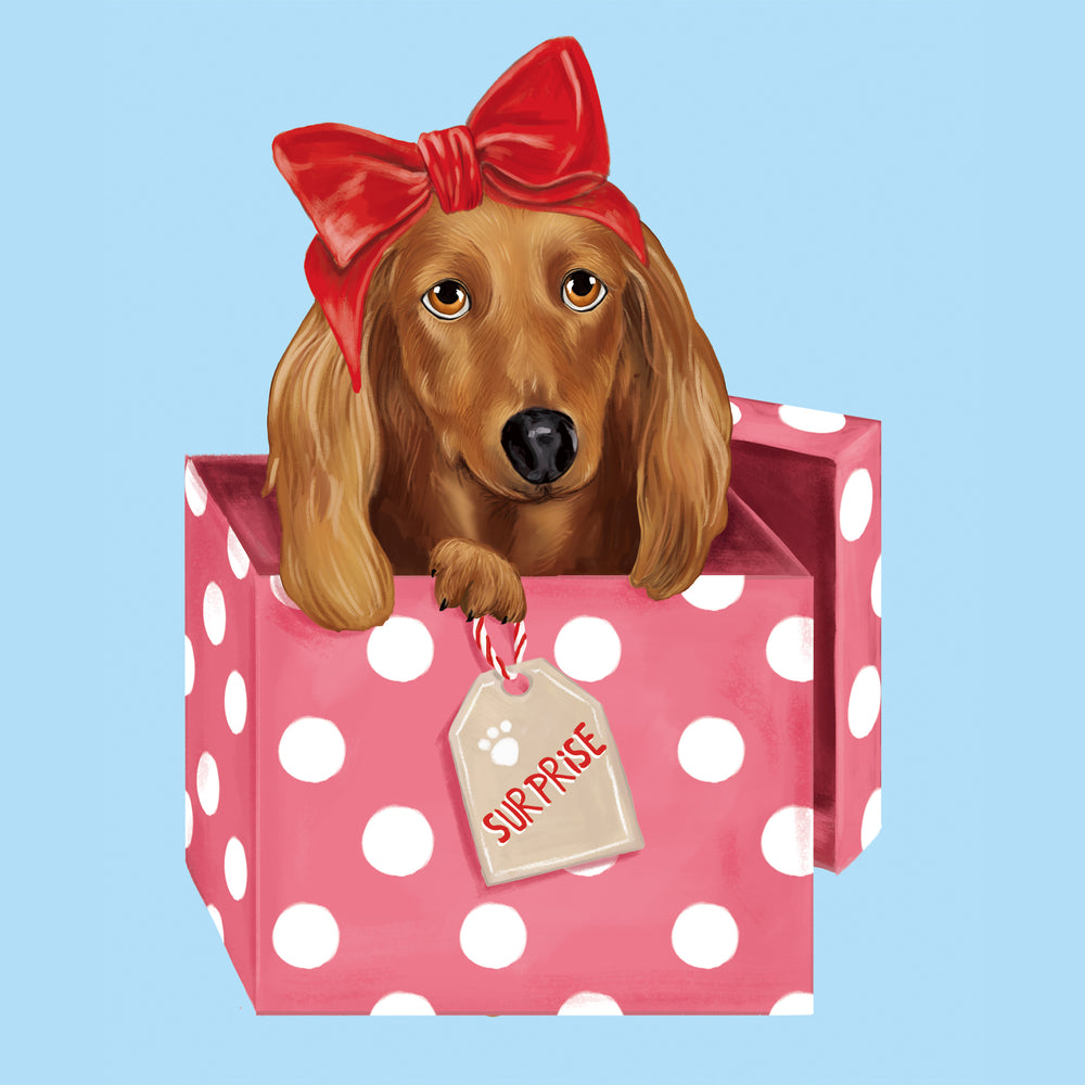 
                      
                        Greeting Card Dog Surprise
                      
                    