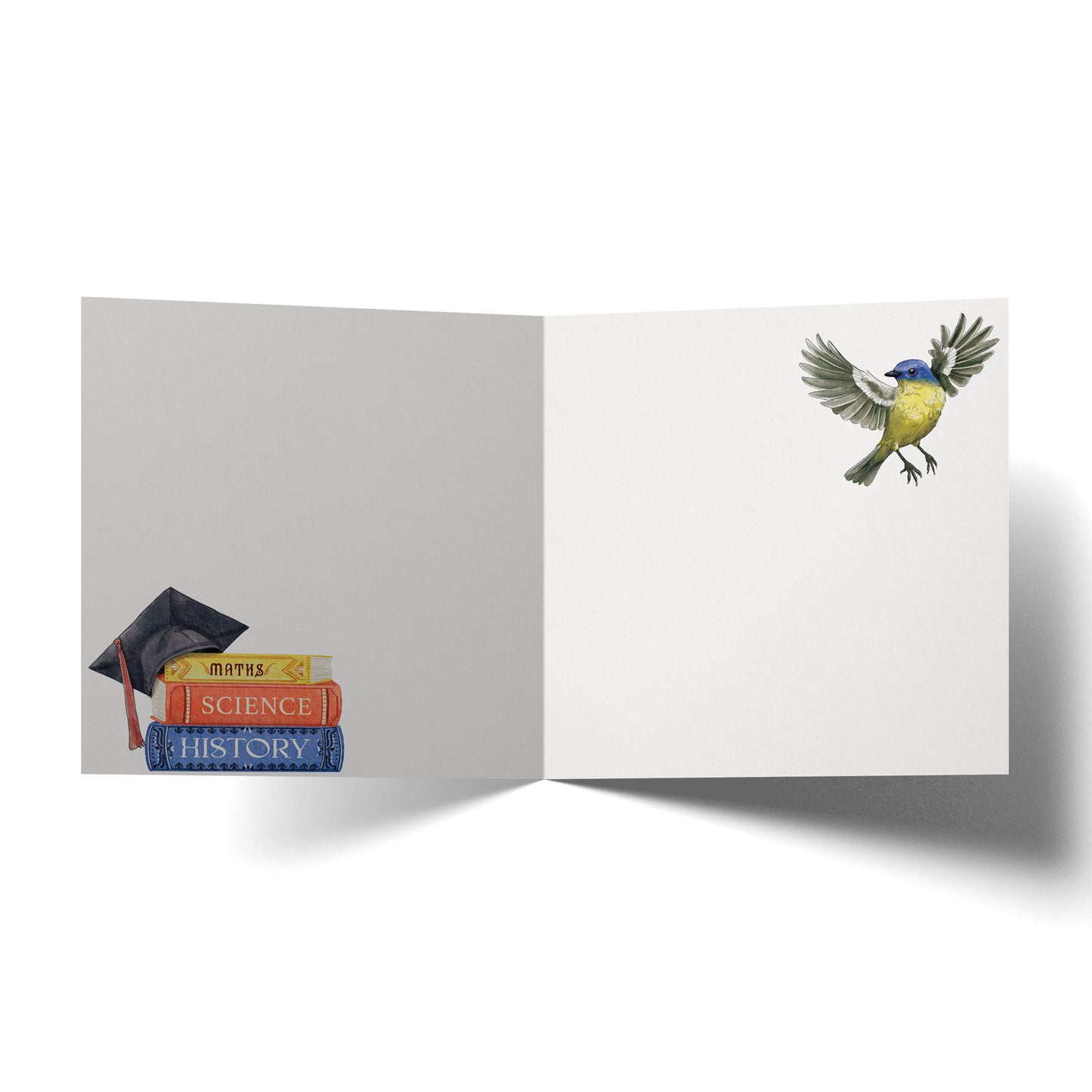 Greeting Card Graduation Bird