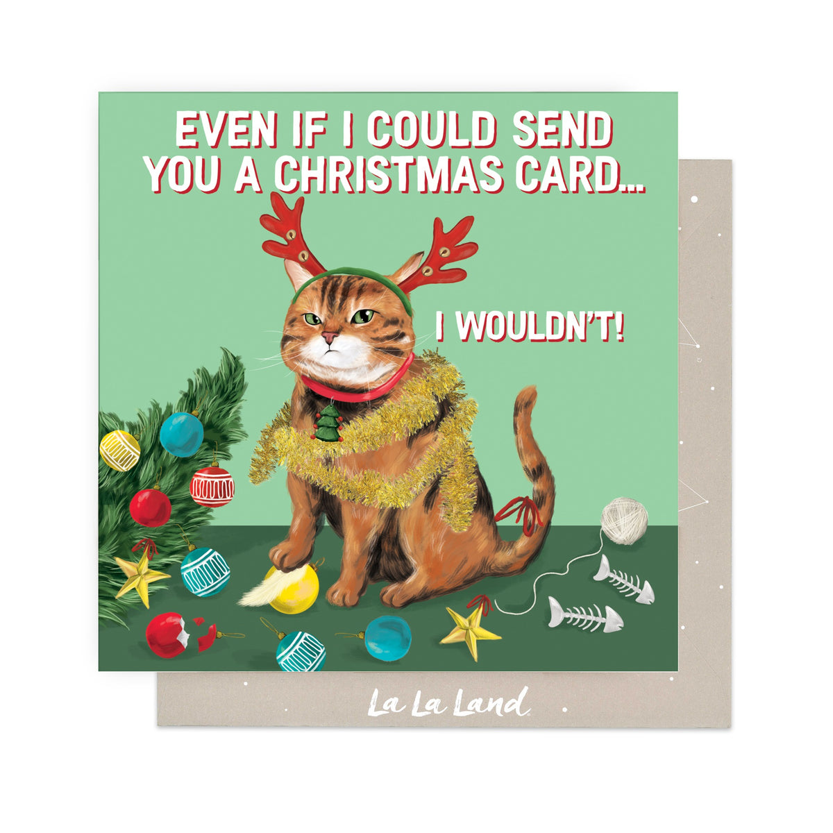 Greeting Card Naughty Cat