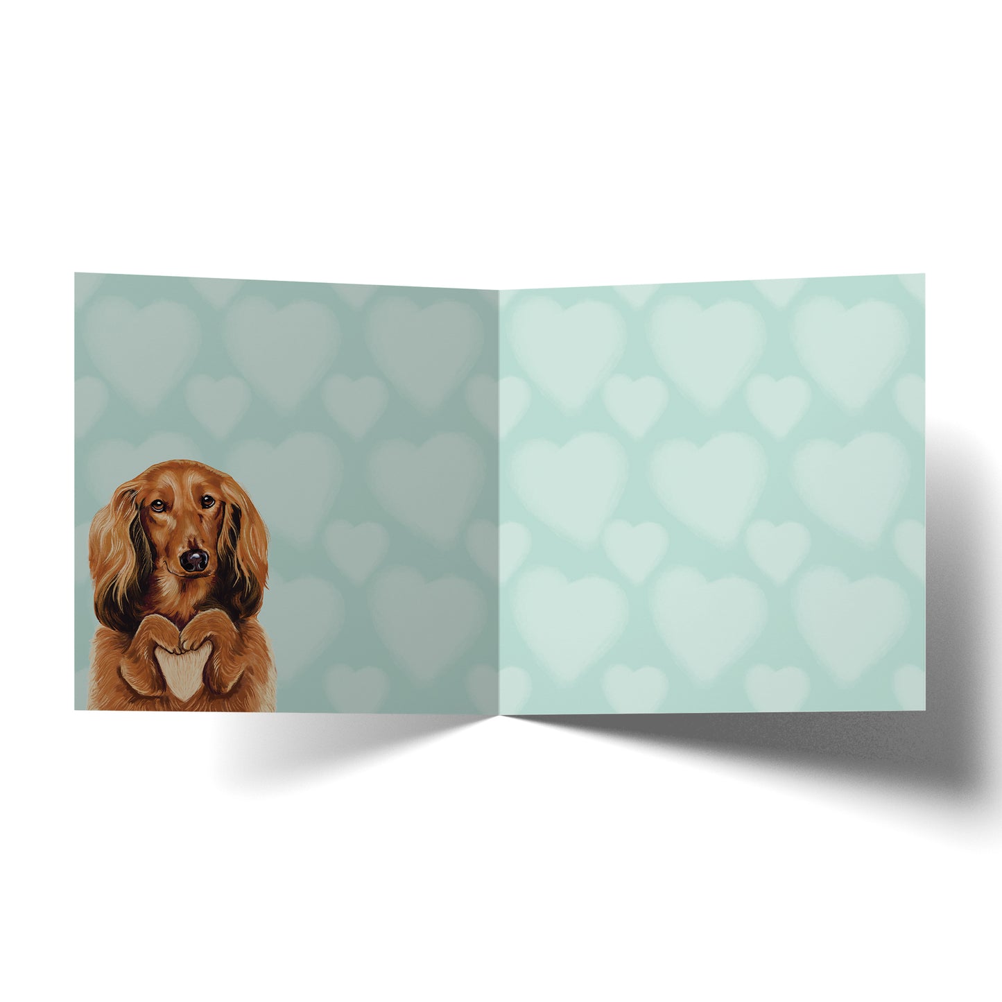 Greeting Card Loving Dachshund