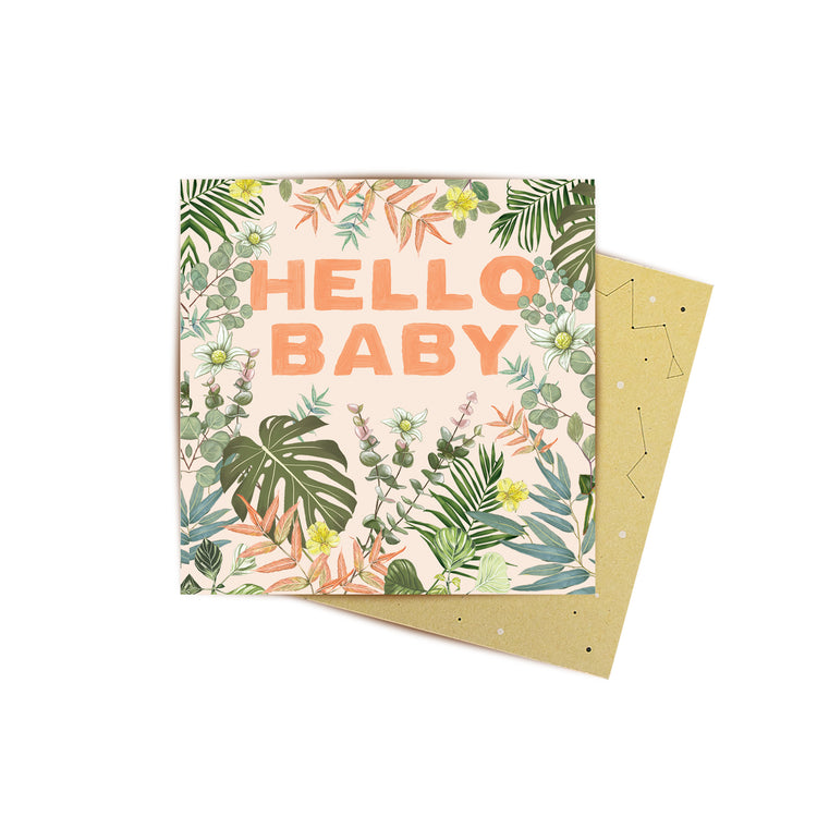 layout