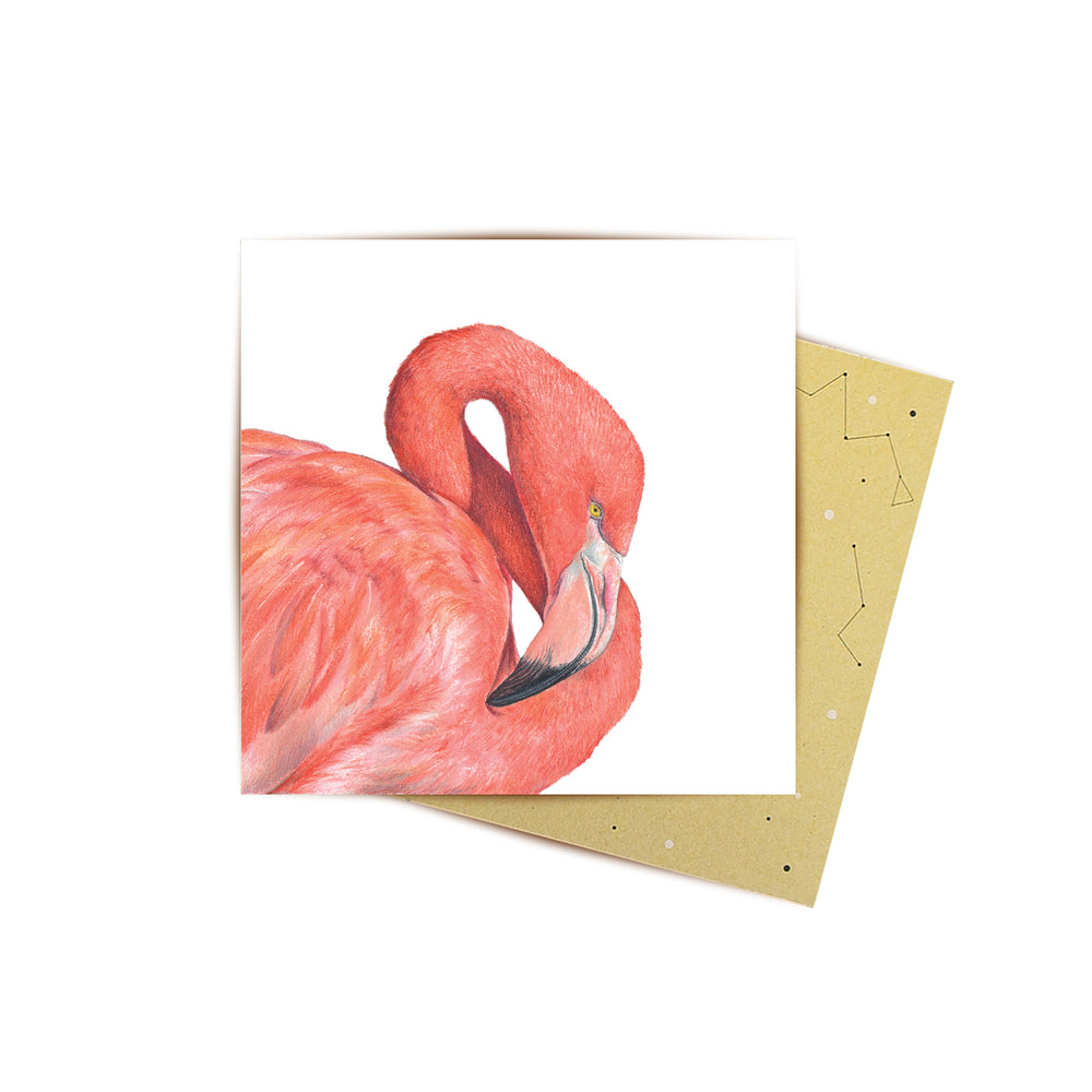 
                      
                        Mini Card Flamingo
                      
                    