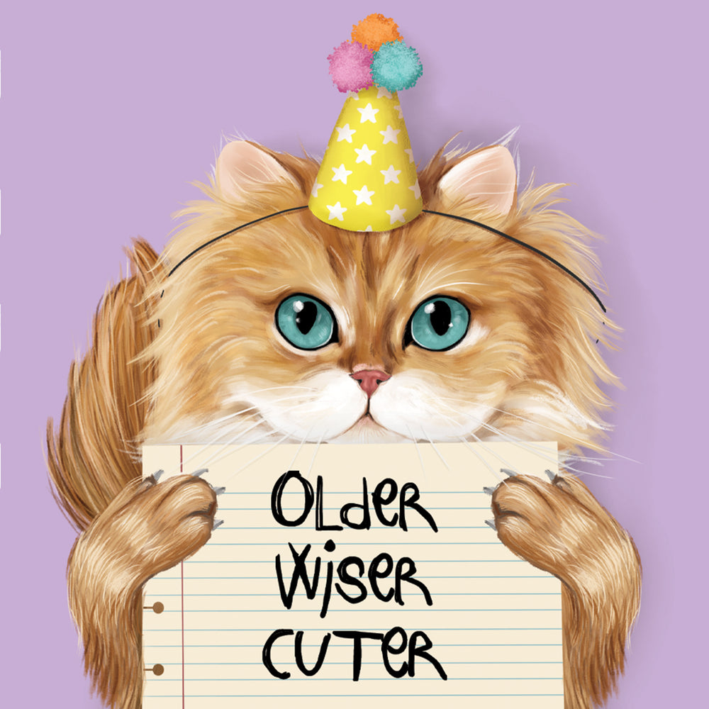 Mini Card Older Wiser Cuter