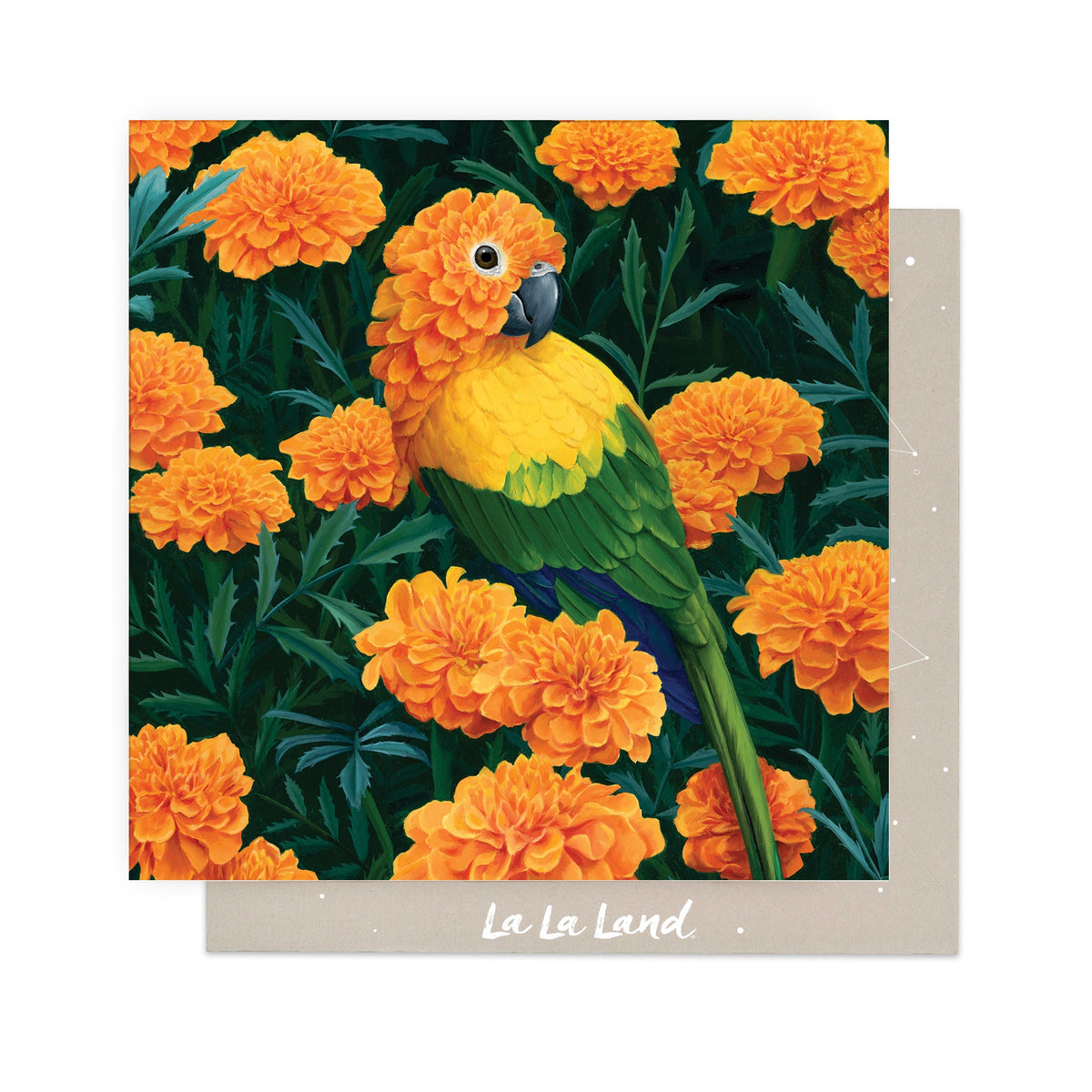 Greeting Card Cempazuchitl