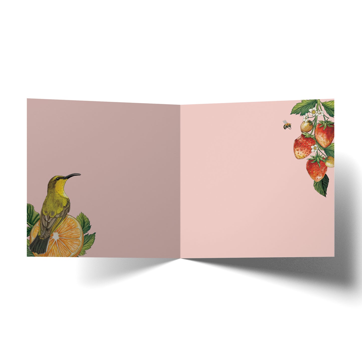 Greeting Card Yellow Breasted Sunbird