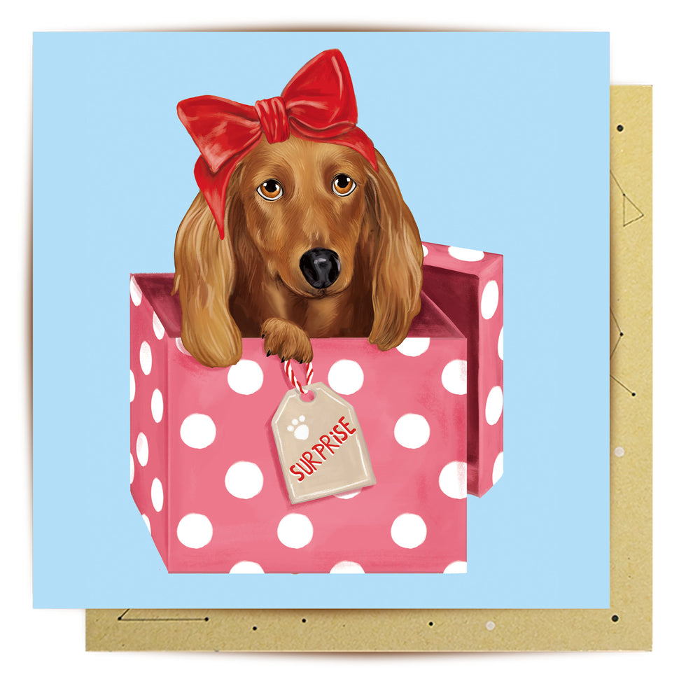 Greeting Card Dog Surprise