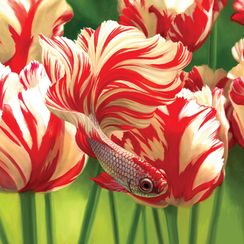 
                      
                        Greeting Card Razzle Dazzle
                      
                    