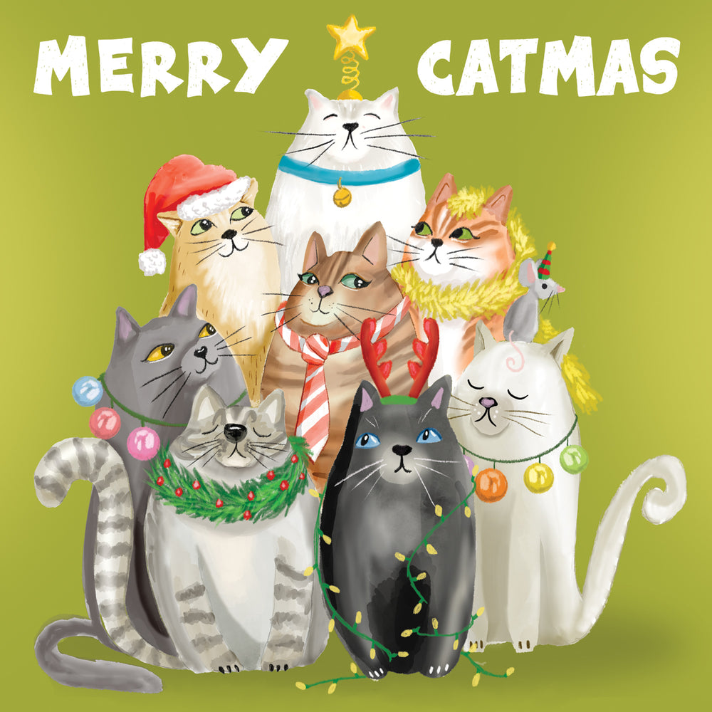 
                      
                        Greeting Card Merry Catmas Cutie
                      
                    