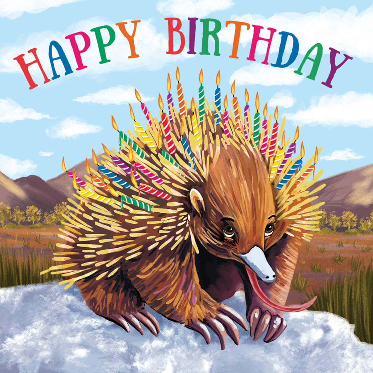 Mini Card Echidna Candles