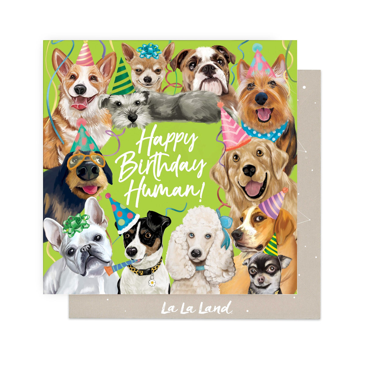 Greeting Card Happy Birthday Human