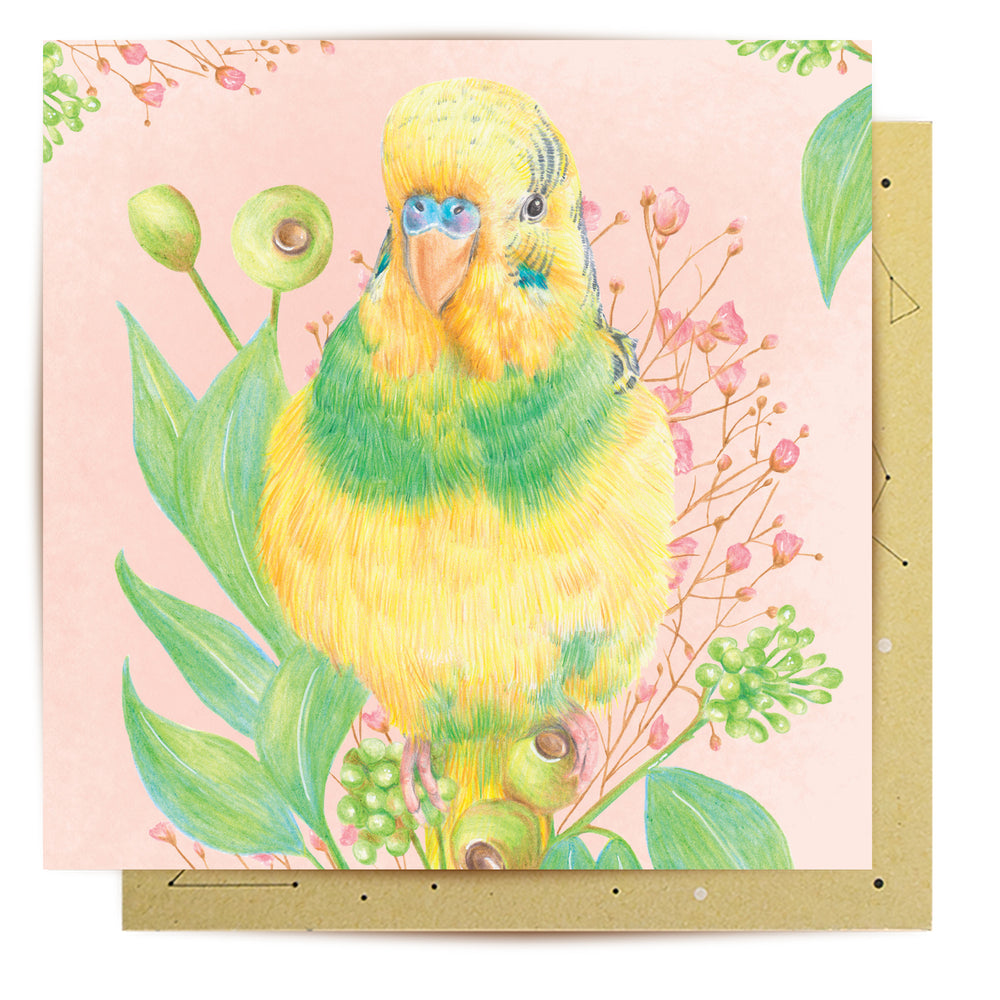 Greeting Card Buckwheat the Budgerigar