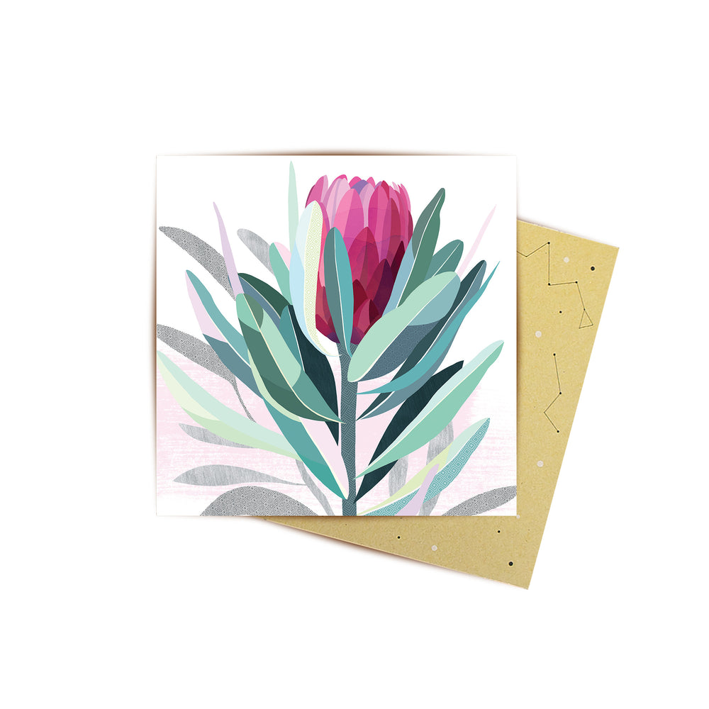 
                      
                        Mini Card Protea
                      
                    