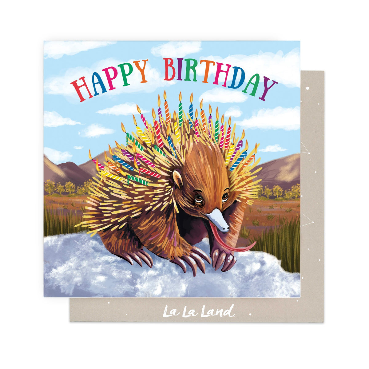 Greeting Card Echidna Candles