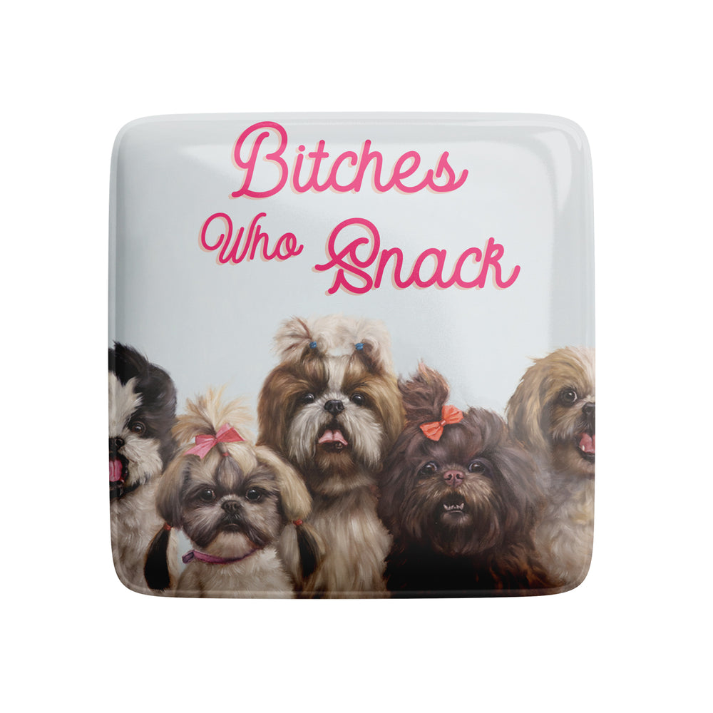 Fridge Magnet Bitches Who Snack