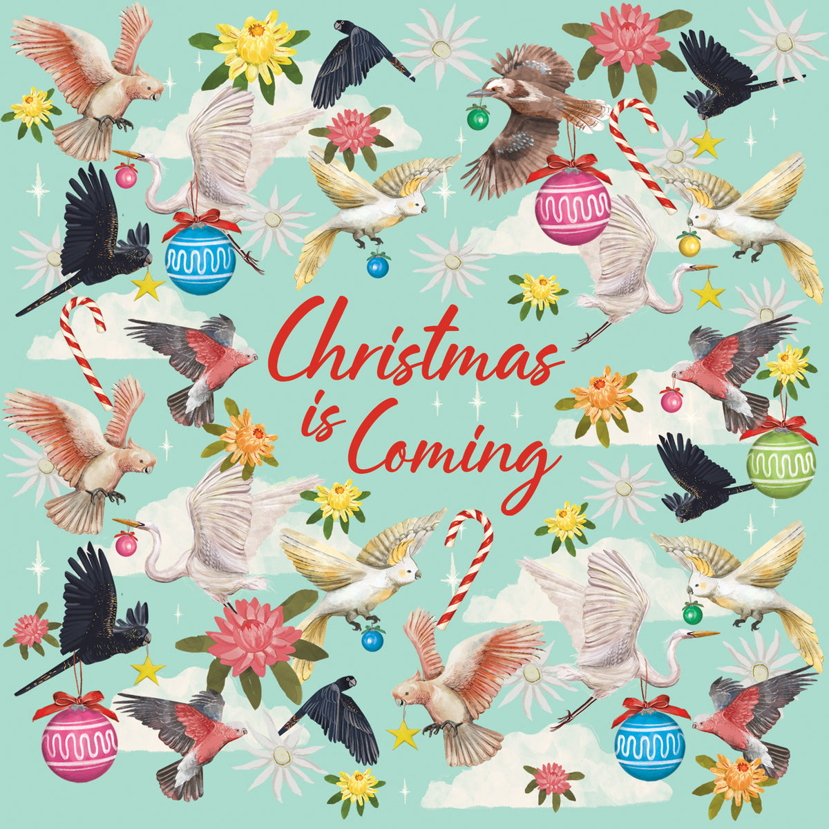 Greeting Card Christmas Is Coming Birds