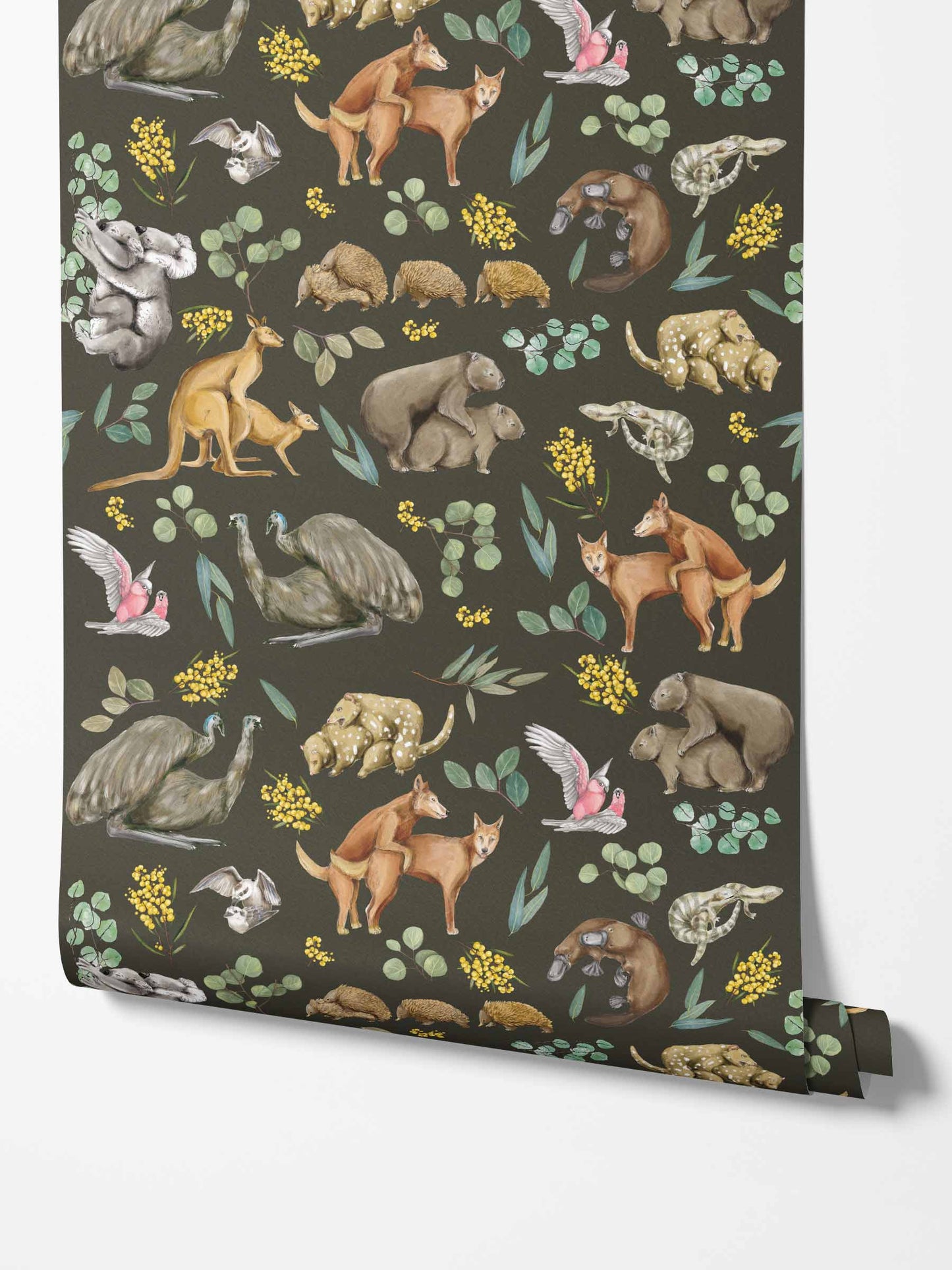 Wallpaper Wild Fur You Australiana