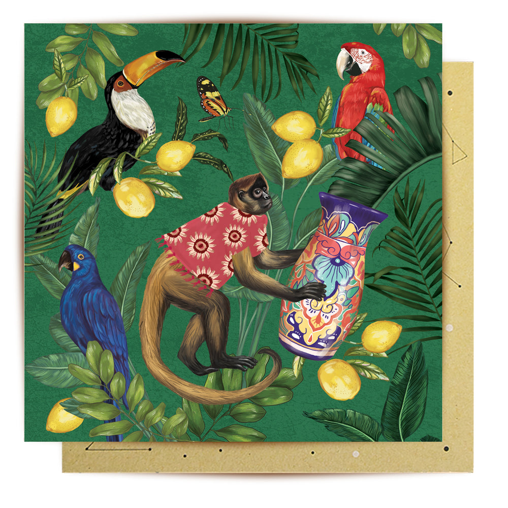 
                      
                        Greeting Card Jungle Monkey
                      
                    