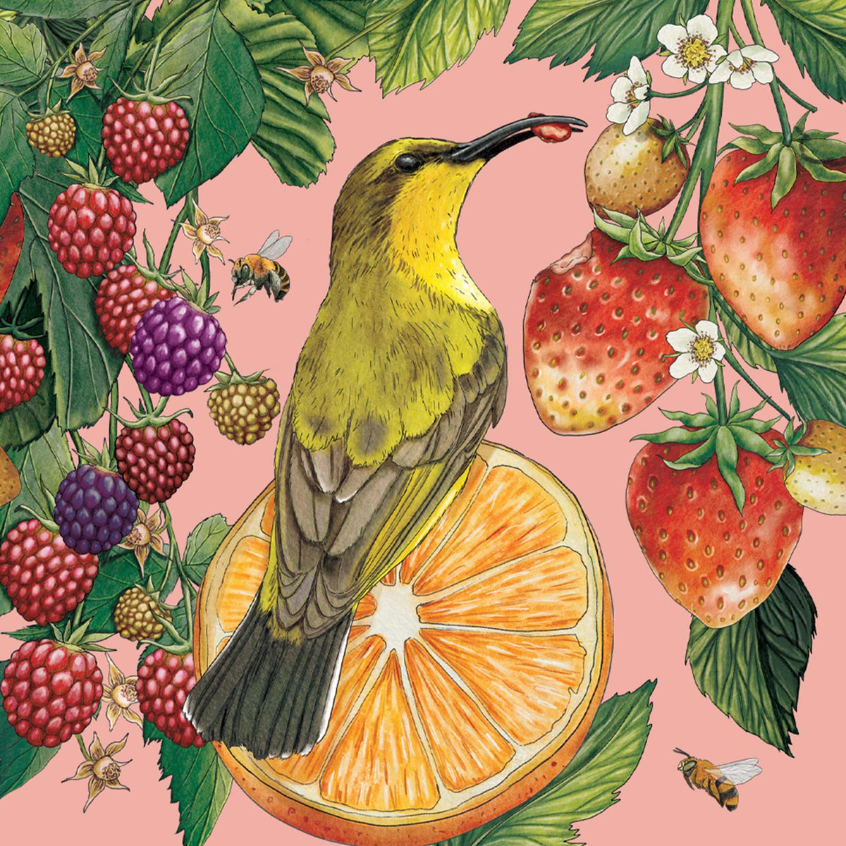 Mini Card Yellow Breasted Sunbird