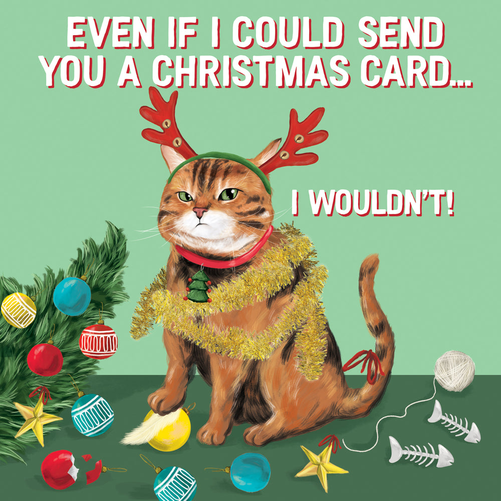 
                      
                        Greeting Card Naughty Cat
                      
                    