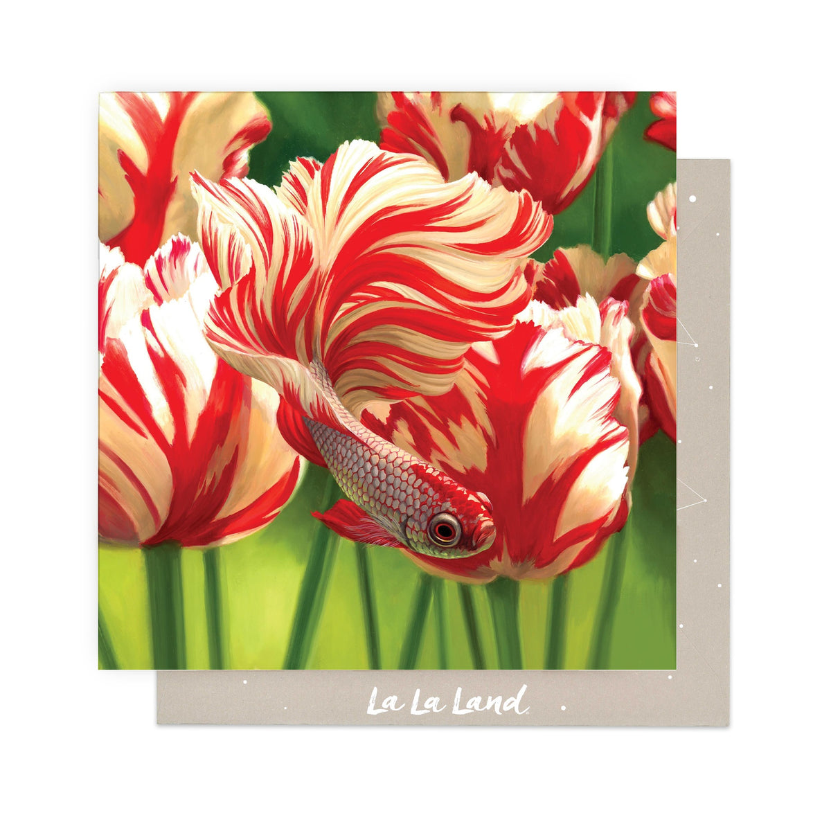 Greeting Card Razzle Dazzle