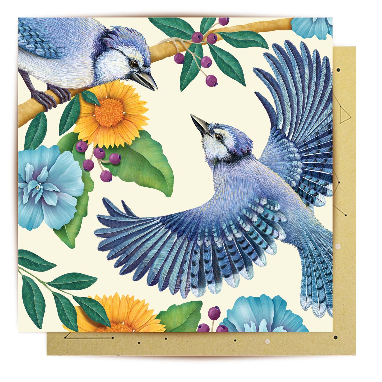 Greeting Card Blue Jay Birthday