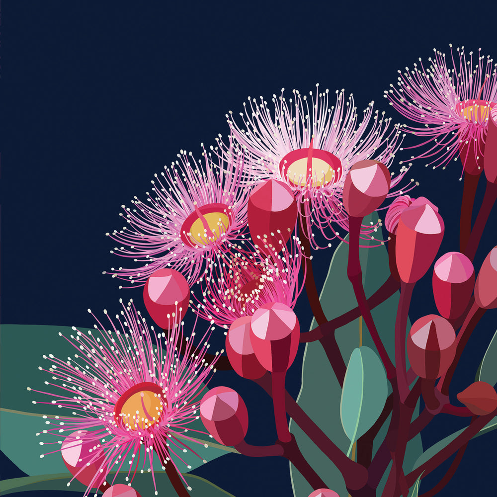 
                      
                        Greeting Card Eucalyptus Bloom
                      
                    