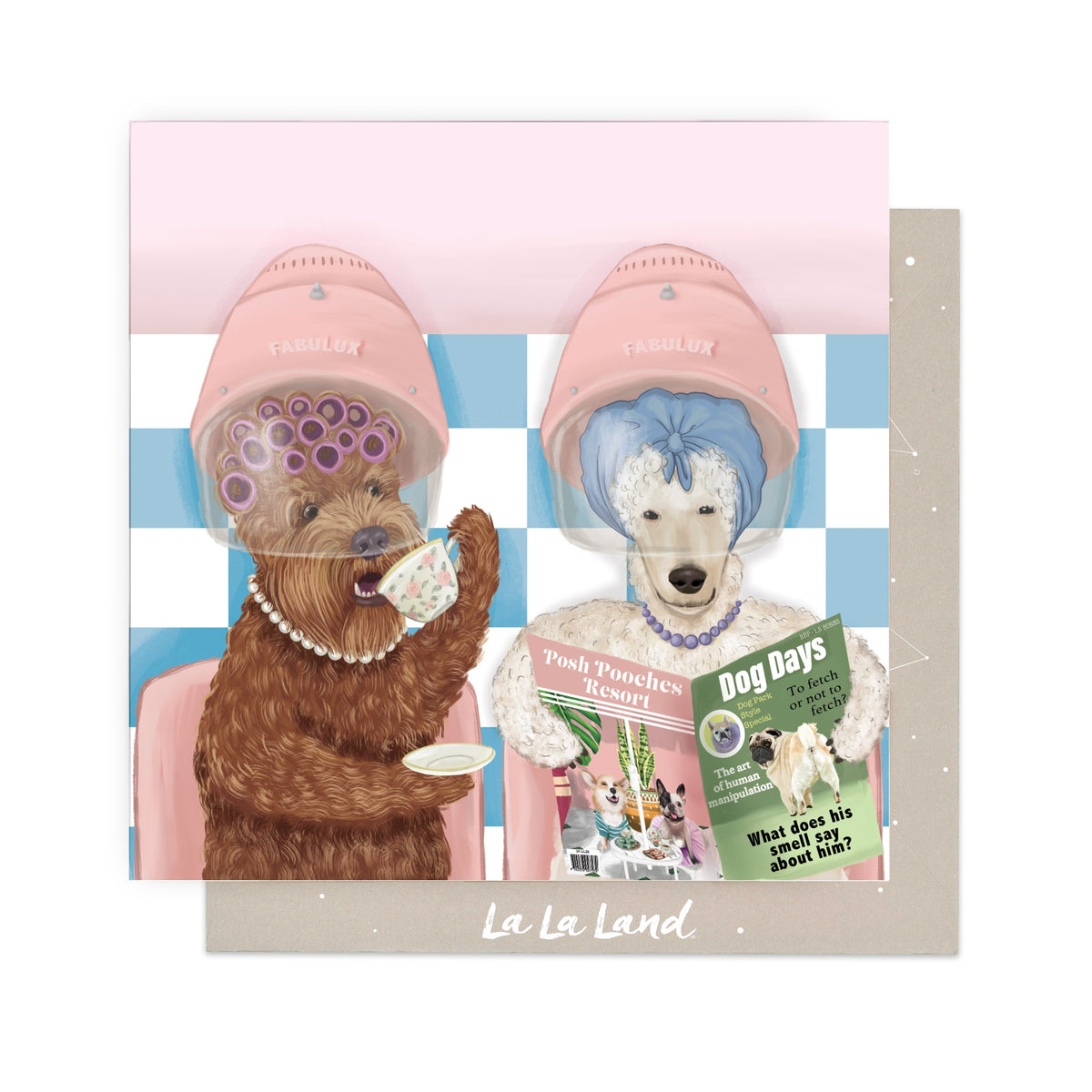 Greeting Card Groming Ladies