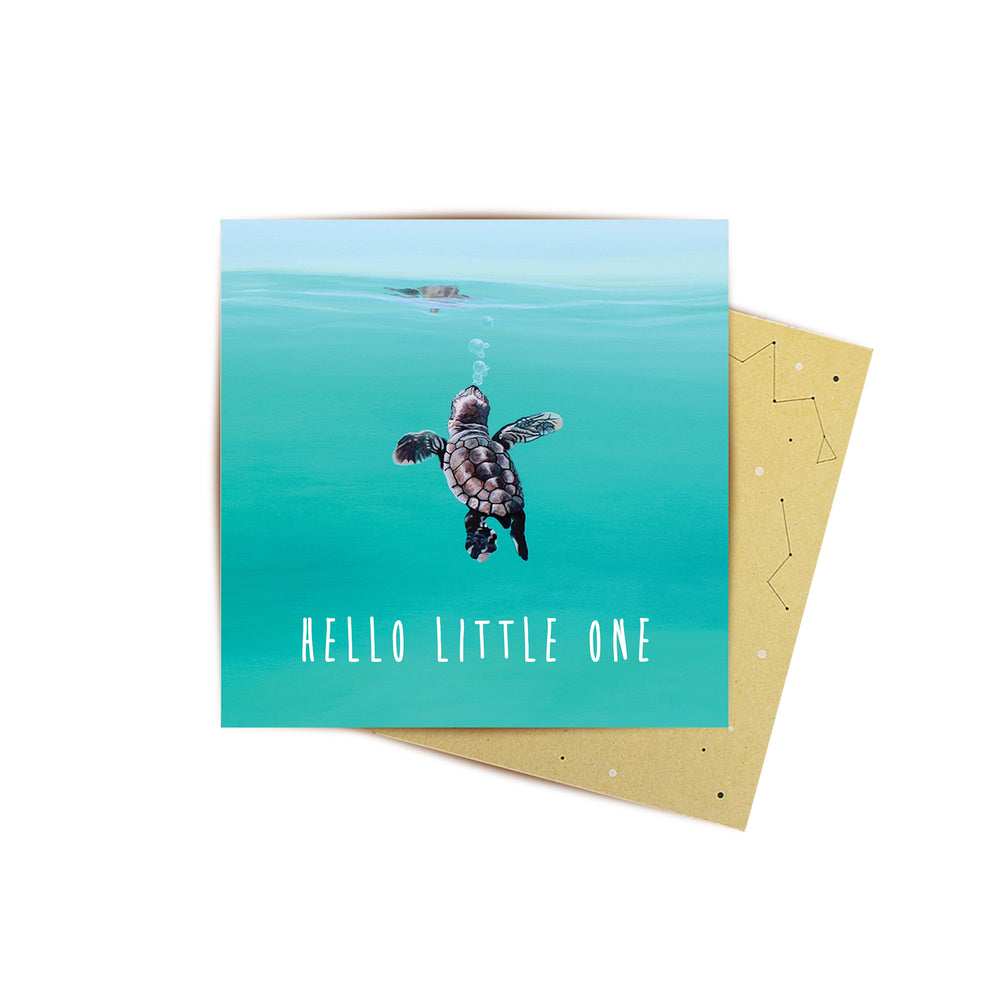 Mini Card Baby Turtle