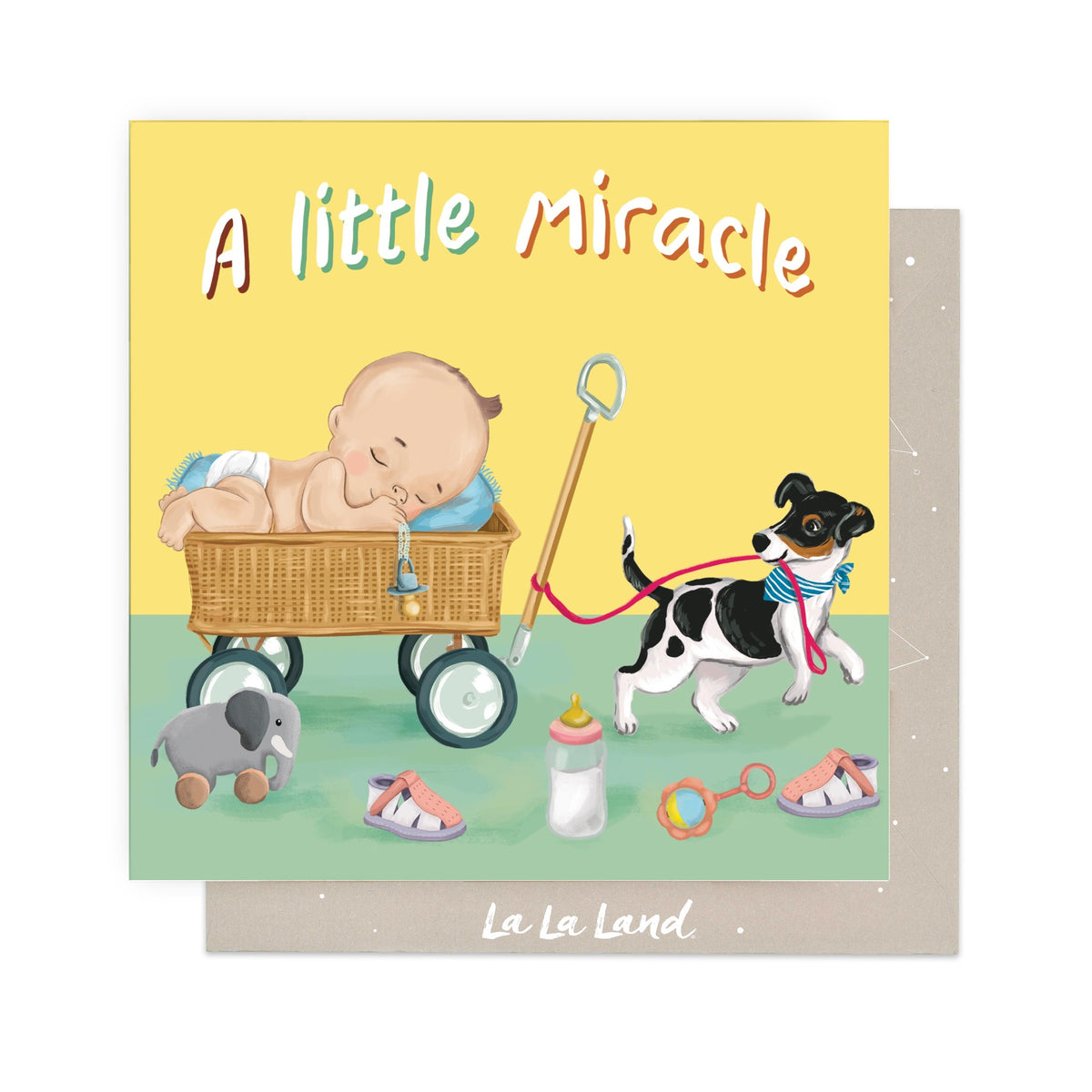 Greeting Card Little Miracle