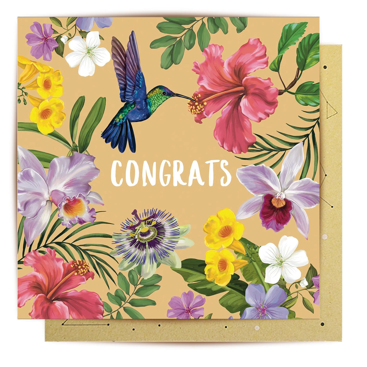 Greeting Card Humming Bird Congrats