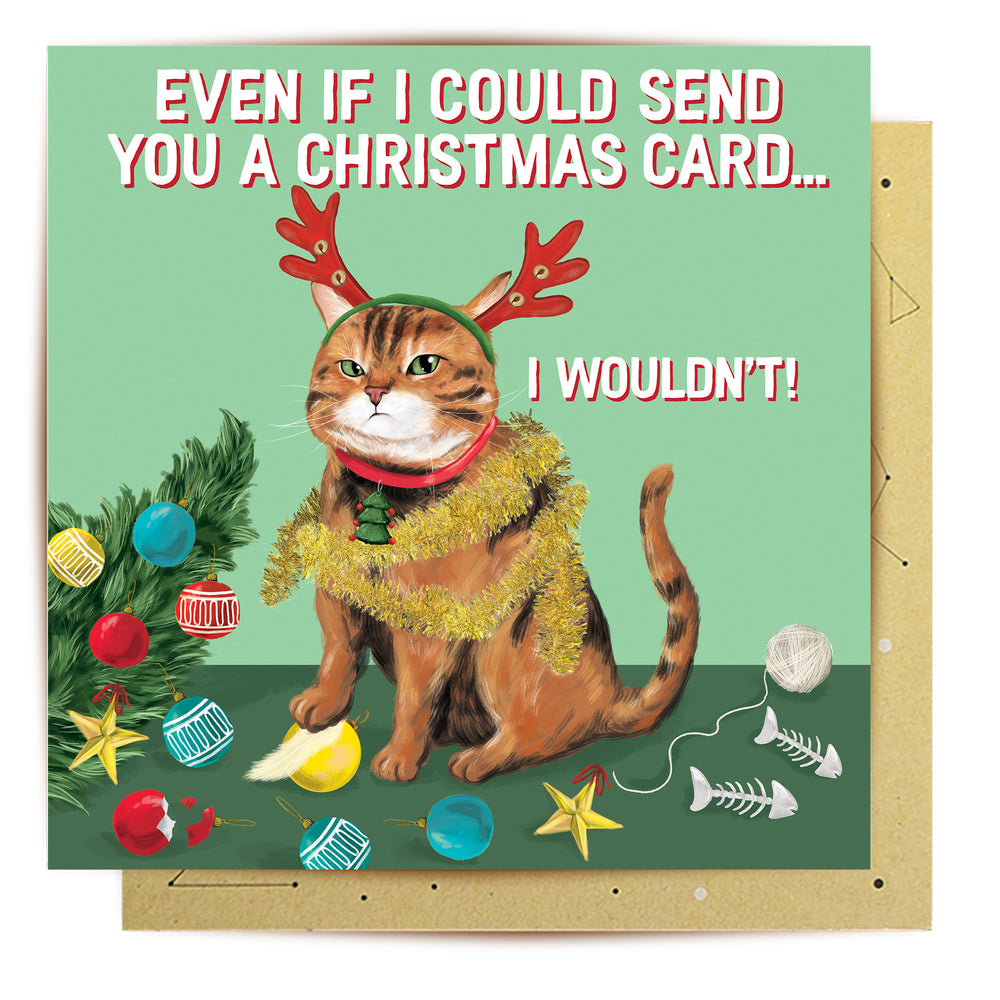 Greeting Card Naughty Cat