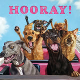 Greeting Card  Rollercoaster Dogs
