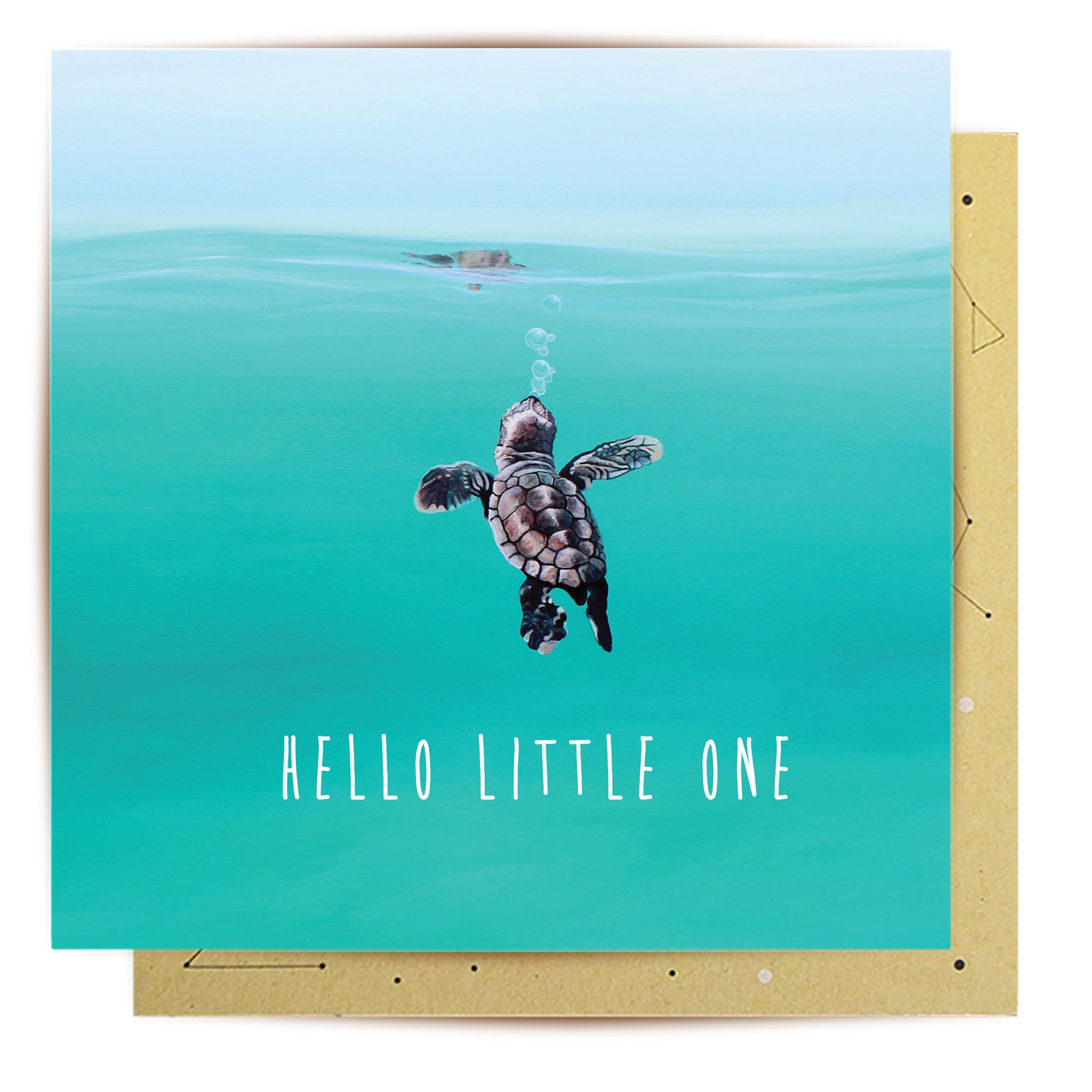 Greeting Card Baby Turtle